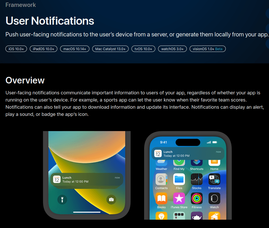 A screenshot from the landing page of APNs’ documentation.