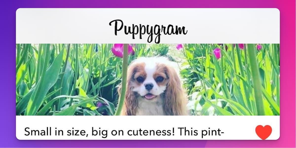 puppygram-header
