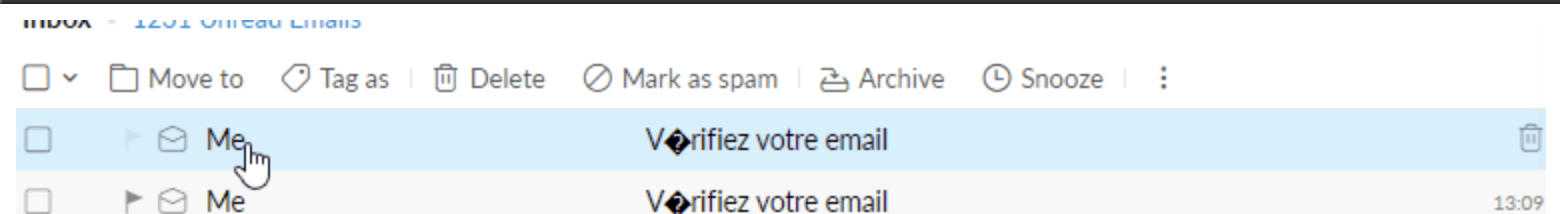 Screenshot of the email error