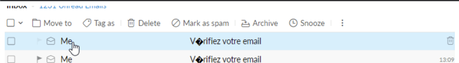 Screenshot of the email error