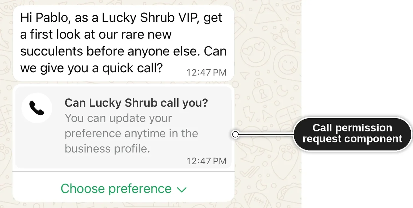 A WhatsApp message asking a customer for permission to call, with a Choose preference option
