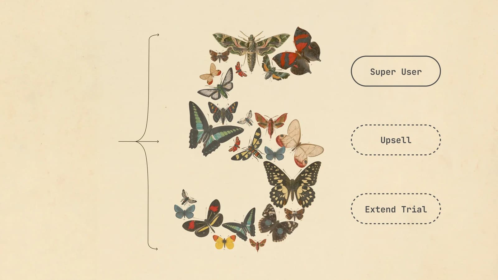 Lifecycle marketing from Fable 5