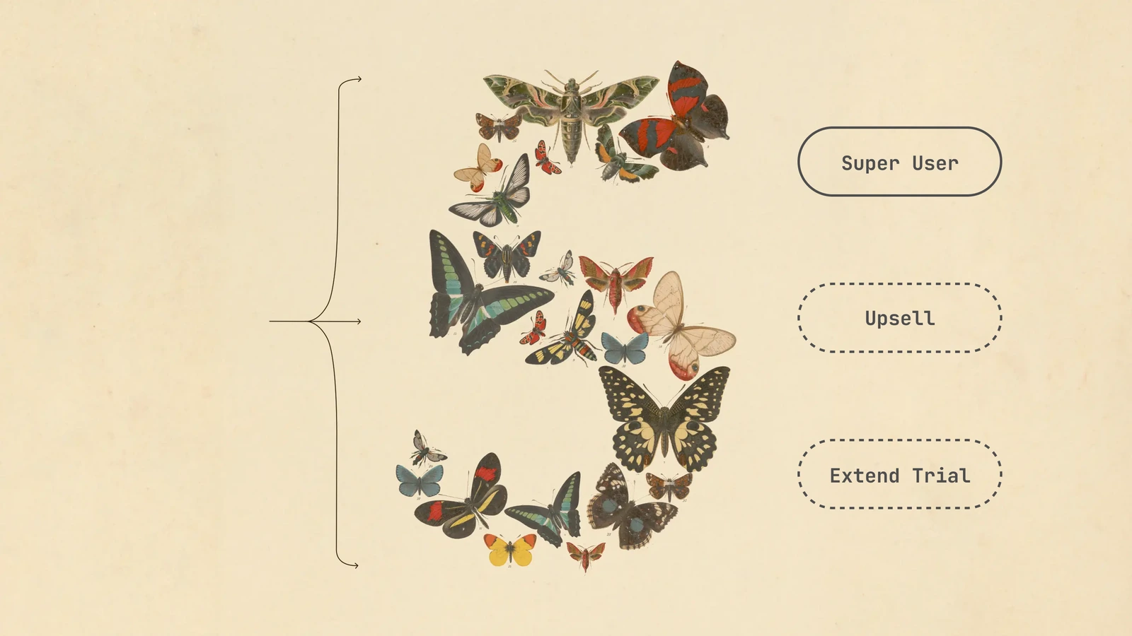 Lifecycle marketing from Fable 5