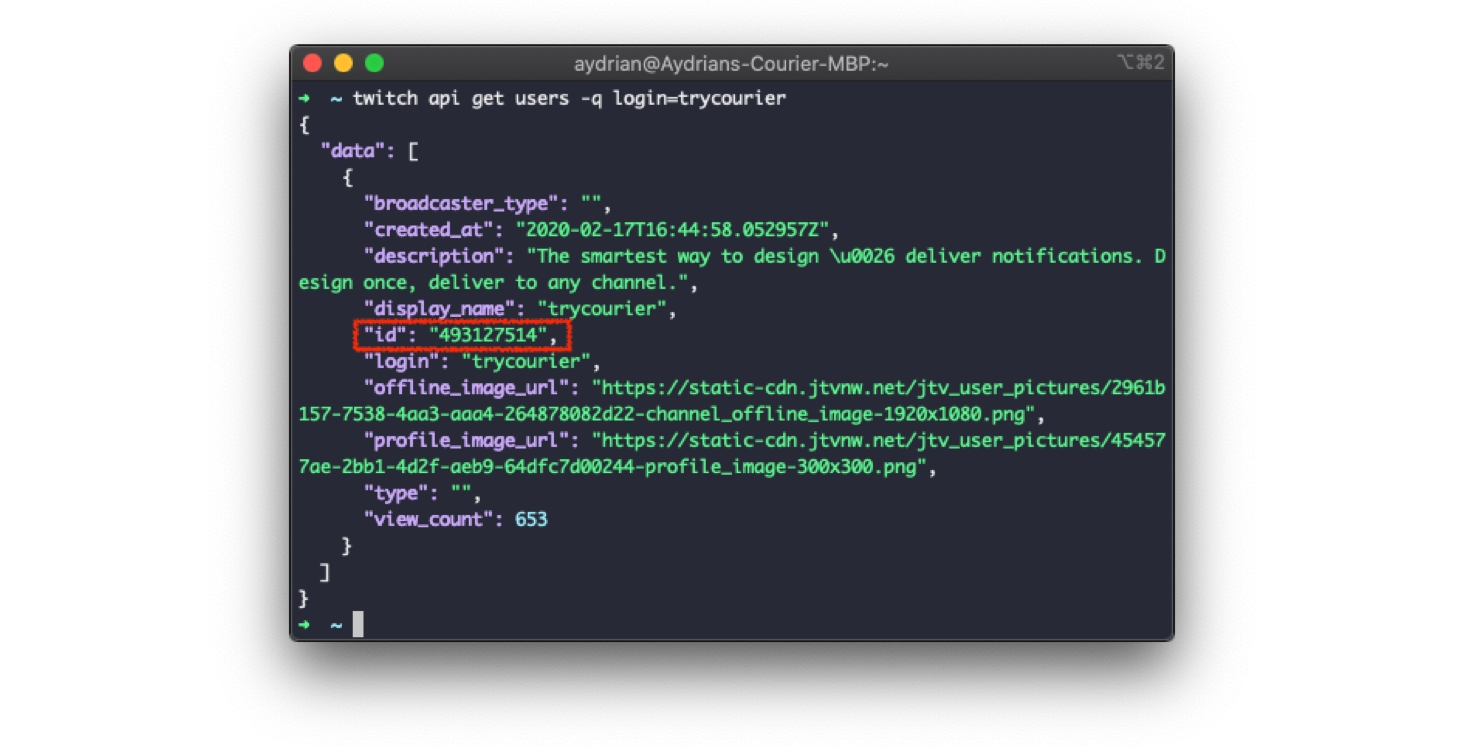 Twitch CLI Get User