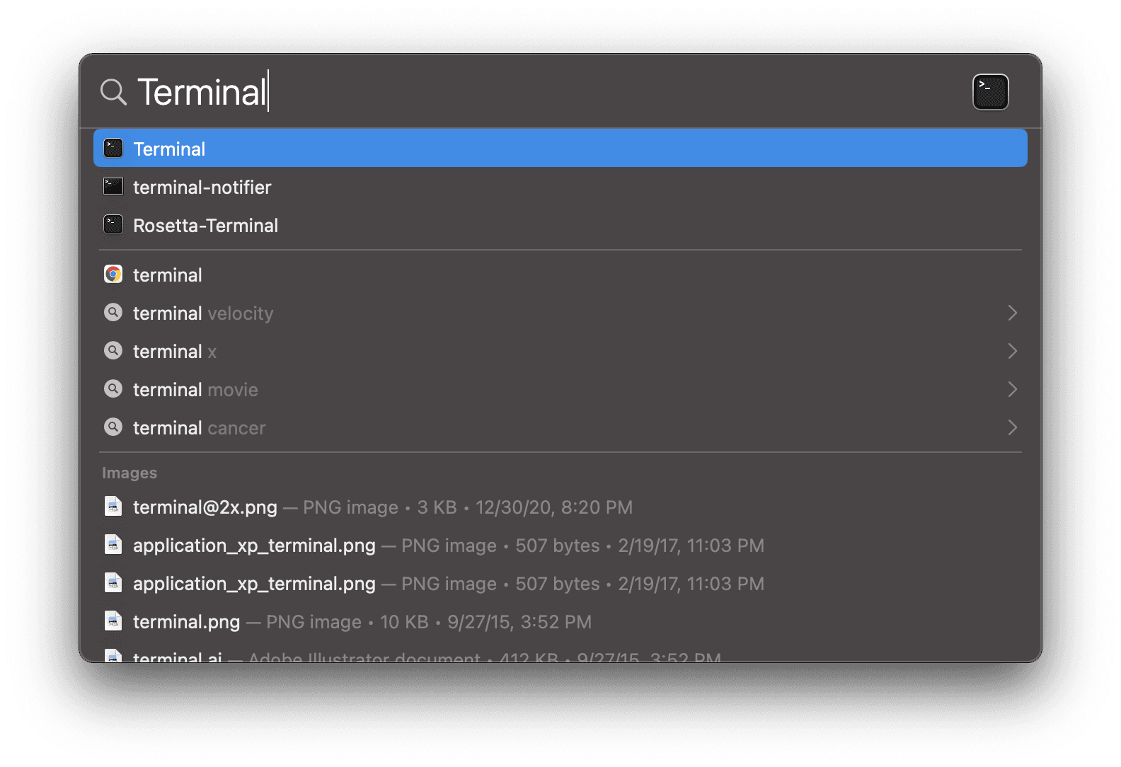 Spotlight Search Terminal