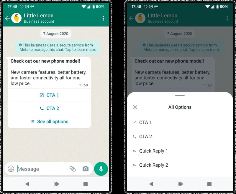 A WhatsApp template showing two buttons and a See all options button, next to the expanded list of the remaining buttons