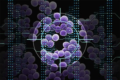 Broad AI research